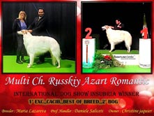 INTERNATIONAL DOGSHOW to 'INSUBRIA WINNER 2014'