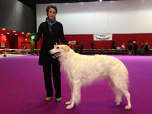 INTERNATIONAL DOGSHOW