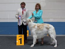 INTERNATIONAL DOGSHOW to LUXSEMBOURG