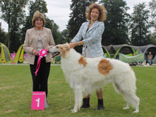 Multi CH, CRUFTS WINNER 2015 YEGOROV HOTTER THAN JULY