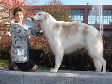 INTERNATIONAL DOGSHOW to 'INSUBRIA WINNER'