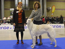 INTERNATIONAL DOGSHOW to VERCELLI (Italy)