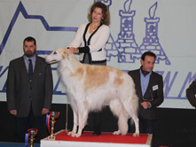 INTERNATIONAL DOGSHOW to SAN MARINO REPUBLIC