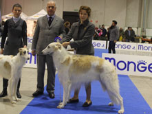 INTERNATIONAL DOGSHOW to BIELLA