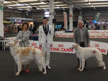 INTERNATIONAL DOGSHOW to ERBA