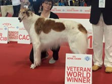 MILANO WORLD DOGSHOW 2015 (Italia)