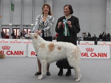 INTERNATIONAL DOGSHOW- Reggio Emilia