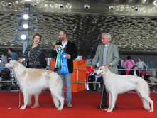 INTERNATIONAL DOGSHOW to GENOVA