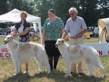 INTERNATIONAL DOGSHOW to IVREA - Italy