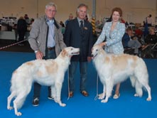 INTERNATIONAL DOGSHOW to SAN MARINO (RSM)