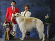 INTERNATIONAL DOGSHOW to LUXSEMBOURG