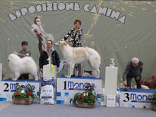 INTERNATIONAL DOGSHOW to ALESSANDRIA