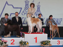 INTERNATIONAL DOGSHOW to SAN MARINO REPUBLIC