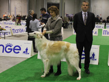 INTERNATIONAL DOGSHOW to VERCELLI - Italy