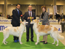 INTERNATIONAL DOGSHOW to BIELLA - Italy