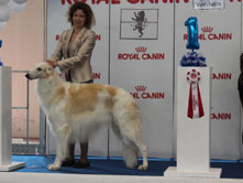 INTERNATIONAL DOGSHOW to MONTICHIARI