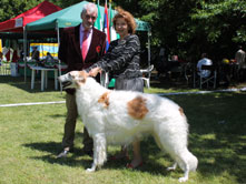 Multi CH, CRUFTS WINNER 2015 YEGOROV HOTTER THAN JULY