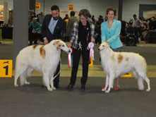 INTERNATIONAL DOGSHOW to LUXSEMBOURG