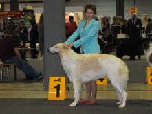 INTERNATIONAL DOGSHOW to LUXSEMBOURG