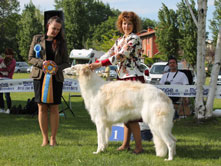 SPECIAL SIGHTHOUNDS CLUB SHOW to PEDENGHE SUL GARDA