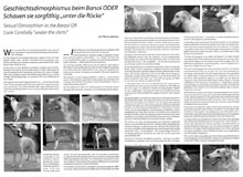 rivista - magazine European Borzoi