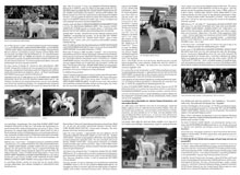 rivista - magazine European Borzoi